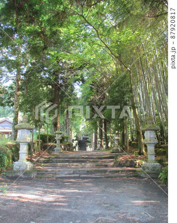 熊本県阿蘇市一の宮町手野に鎮座する国造神社の参道 熊本県阿蘇市一の宮町手野に鎮座する国造神社の参道 87920817