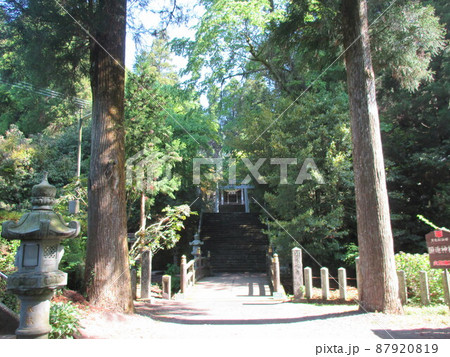 熊本県阿蘇市一の宮町手野に鎮座する国造神社の参道 熊本県阿蘇市一の宮町手野に鎮座する国造神社の参道 87920819