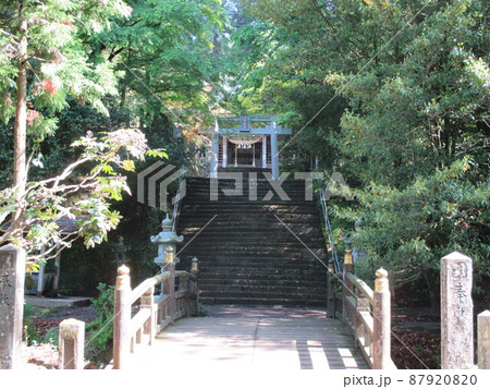 熊本県阿蘇市一の宮町手野に鎮座する国造神社の参道 熊本県阿蘇市一の宮町手野に鎮座する国造神社の参道 87920820