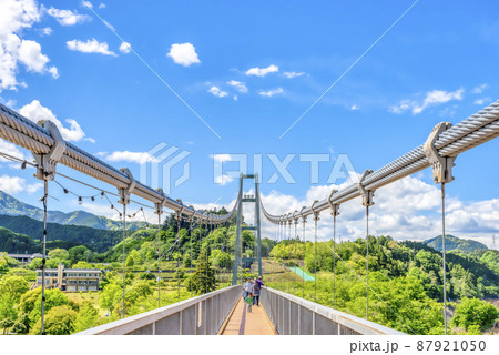 春の宮ヶ瀬湖畔園地　神奈川県 87921050