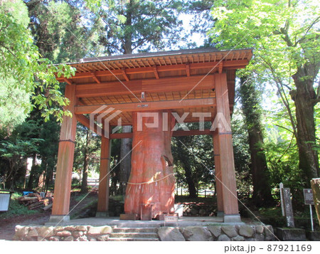熊本県阿蘇市一の宮町手野の国造神社境内に生育していた手野の大杉 87921169
