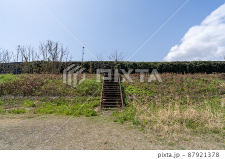河川敷で散歩 87921378