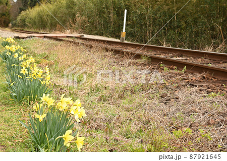 千葉・小湊鉄道 千葉・小湊鉄道 87921645