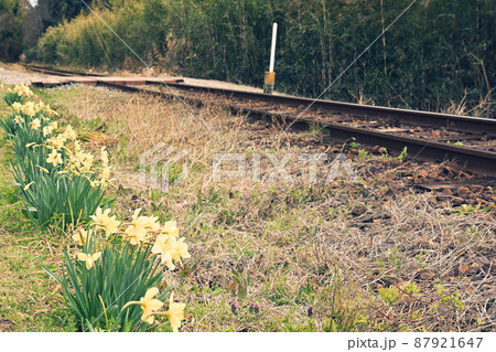 千葉・小湊鉄道 87921647