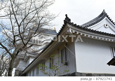 千葉・大多喜城 87921741