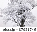 霧氷 87921746