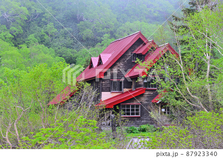 新緑に包まれる栂池山荘 87923340