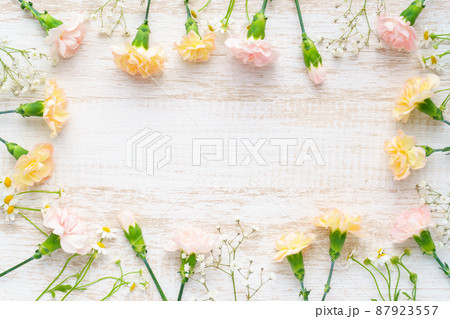 ピンクとオレンジのカーネーションと白い花のフラワーフレーム ピンクとオレンジのカーネーションと白い花のフラワーフレーム 87923557