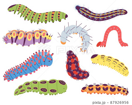 Spring caterpillars. Cartoon insect caterpillar, cute garden and forest wildlife animal. Doodle summer centipede, funny baby lavra decent vector set 87926956