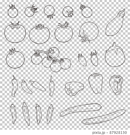 夏野菜ペン画セット 夏野菜ペン画セット 87928130