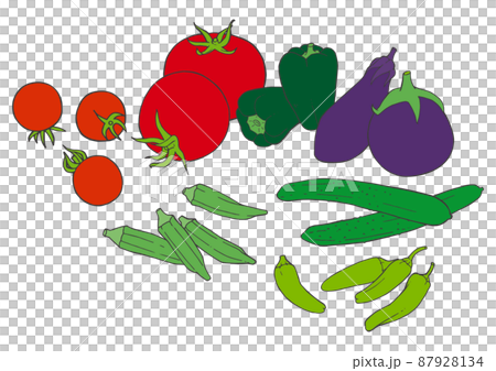 夏野菜セットのイラスト素材 [87928134] - PIXTA
