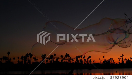 Palm trees silhouettes, sunset ocean beach, soap bubbles, California coast, USA. 87928904