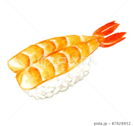 エビの握り寿司（単品）　日本料理の手描き水彩イラスト素材 87928952