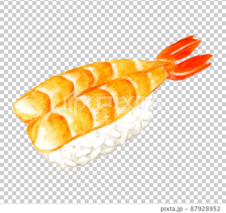 エビの握り寿司（単品）　日本料理の手描き水彩イラスト素材 87928952