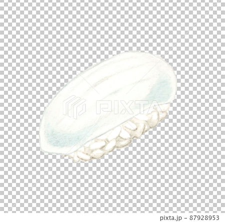 イカの握り寿司(単品) 日本料理の手描き水彩イラスト素材 イカの握り寿司(単品) 日本料理の手描き水彩イラスト素材 87928953