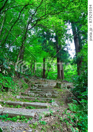 菅谷寺（新潟県） 87929394
