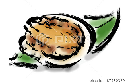 あわびの手描き和風イラスト 87930329
