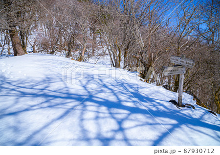 (山梨県)厳冬の御坂山地・雪積もった黒岳登山道 (山梨県)厳冬の御坂山地・雪積もった黒岳登山道 87930712