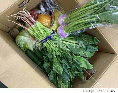 段ボール箱に詰められた野菜や果物 段ボール箱に詰められた野菜や果物 87931365