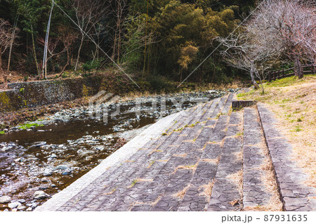 茨城県日立市　諏訪梅林 87931635