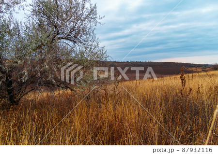 beautiful wild landscape, late autumn, trees with colorful leaves, cloudy weather 87932116