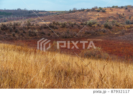 beautiful wild landscape, late autumn, colorful dry grass and trees, cloudy weather 87932117