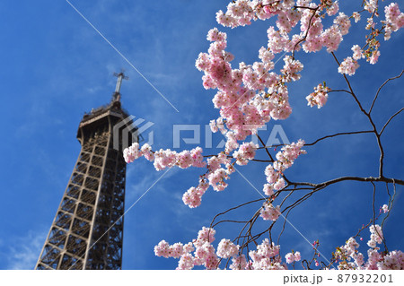 フランス・パリ、エッフェル塔と桜、シャンドマルス公園からの眺め。2022年3月14日撮影。 87932201