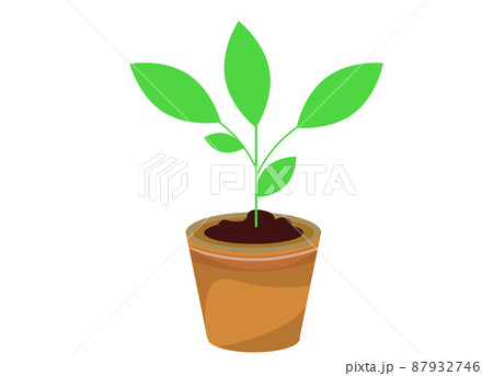 植木鉢と観葉植物 イラスト素材	 87932746