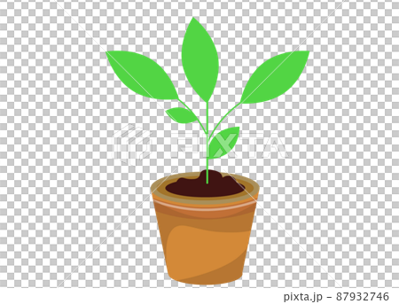 植木鉢と観葉植物 イラスト素材	 87932746