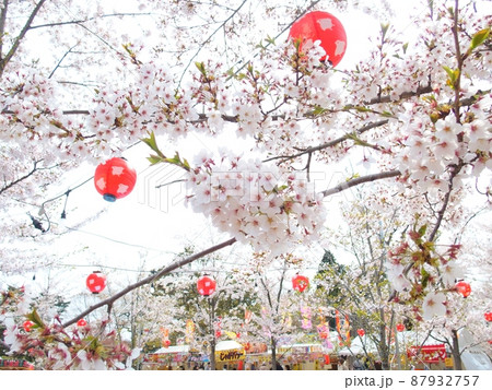 桜まつり 87932757