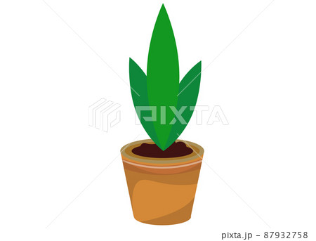 植木鉢と観葉植物 イラスト素材 のイラスト素材