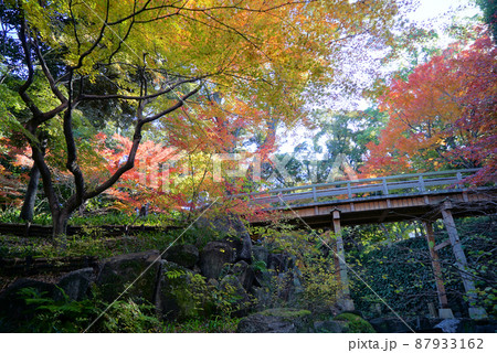 紅葉の徳川園 87933162