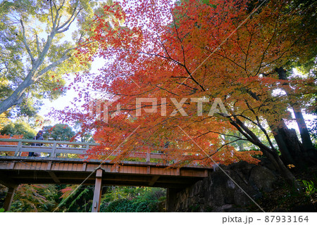紅葉の徳川園 紅葉の徳川園 87933164