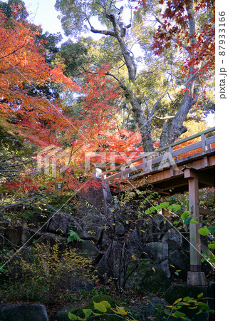 紅葉の徳川園 87933166