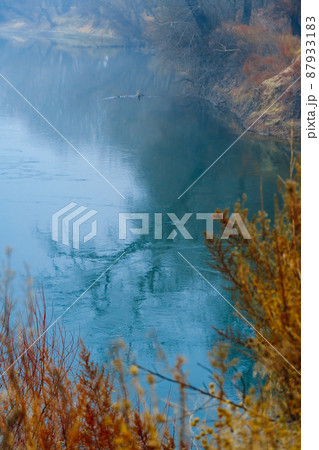 wild natural landscape, late autumn season, river, bare branches of trees without leaves are reflected in the water, cloudy weather with haze, forest with silhouettes of trees wild natural landscape, late autumn season, river, bare branches of trees without leaves are reflected in the water, cloudy weather with haze, forest with silhouettes of trees 87933183