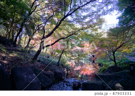 紅葉の徳川園 紅葉の徳川園 87933331
