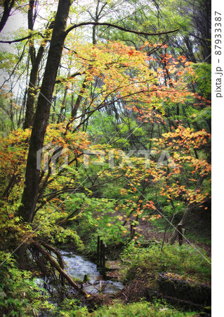 軽井沢　千ヶ滝 87933387