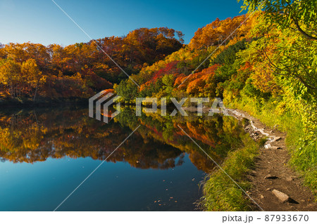 高原沼の紅葉 高原沼の紅葉 87933670
