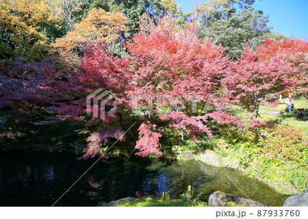 紅葉の徳川園 紅葉の徳川園 87933760