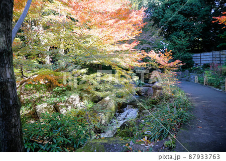 紅葉の徳川園 紅葉の徳川園 87933763