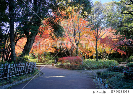 紅葉の徳川園 紅葉の徳川園 87933843