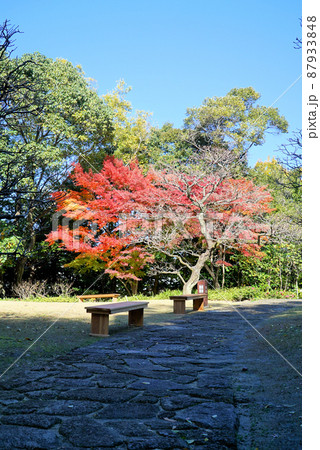 紅葉の徳川園 紅葉の徳川園 87933848