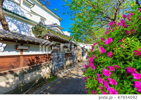 東京 江東区亀戸 亀戸天神社のツツジと日本料理屋 東京 江東区亀戸 亀戸天神社のツツジと日本料理屋 87934092