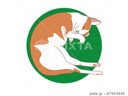 子猫の昼寝イラスト 子猫の昼寝イラスト 87934646