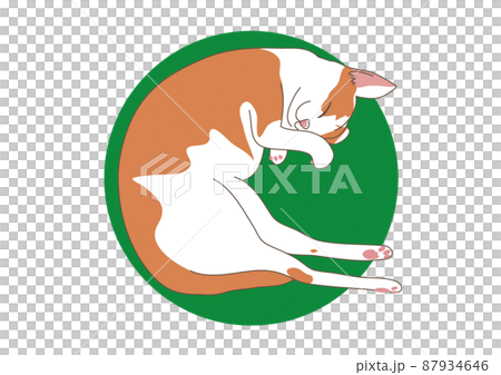 子猫の昼寝イラスト 子猫の昼寝イラスト 87934646