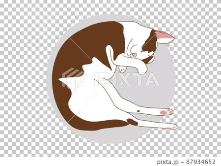 子猫の昼寝イラスト 87934652