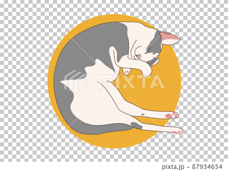 Kitten nap illustration Kitten nap illustration 87934654