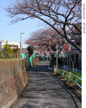 春を待つ 春を待つ 87934946