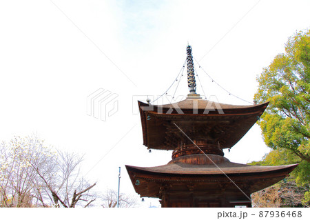 春日井市、密蔵院多宝塔の風景 87936468