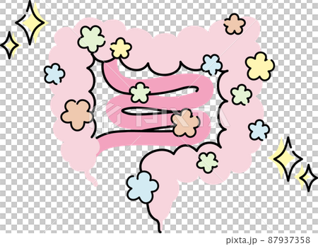 腸のイラスト 87937358